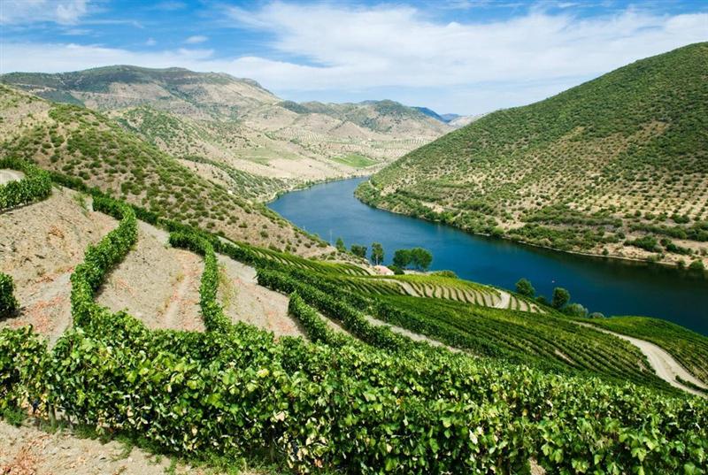 Vranken Pommery Monopole : apport sous licence de la marque POMPADOUR