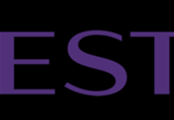Wavestone : dans le rouge après les résultats